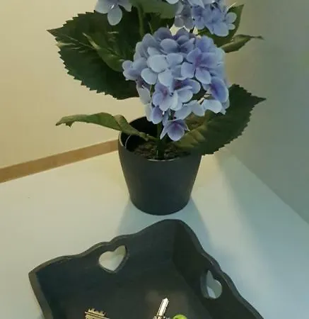 公寓 Campo De Fiori House